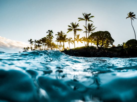 Water and trees